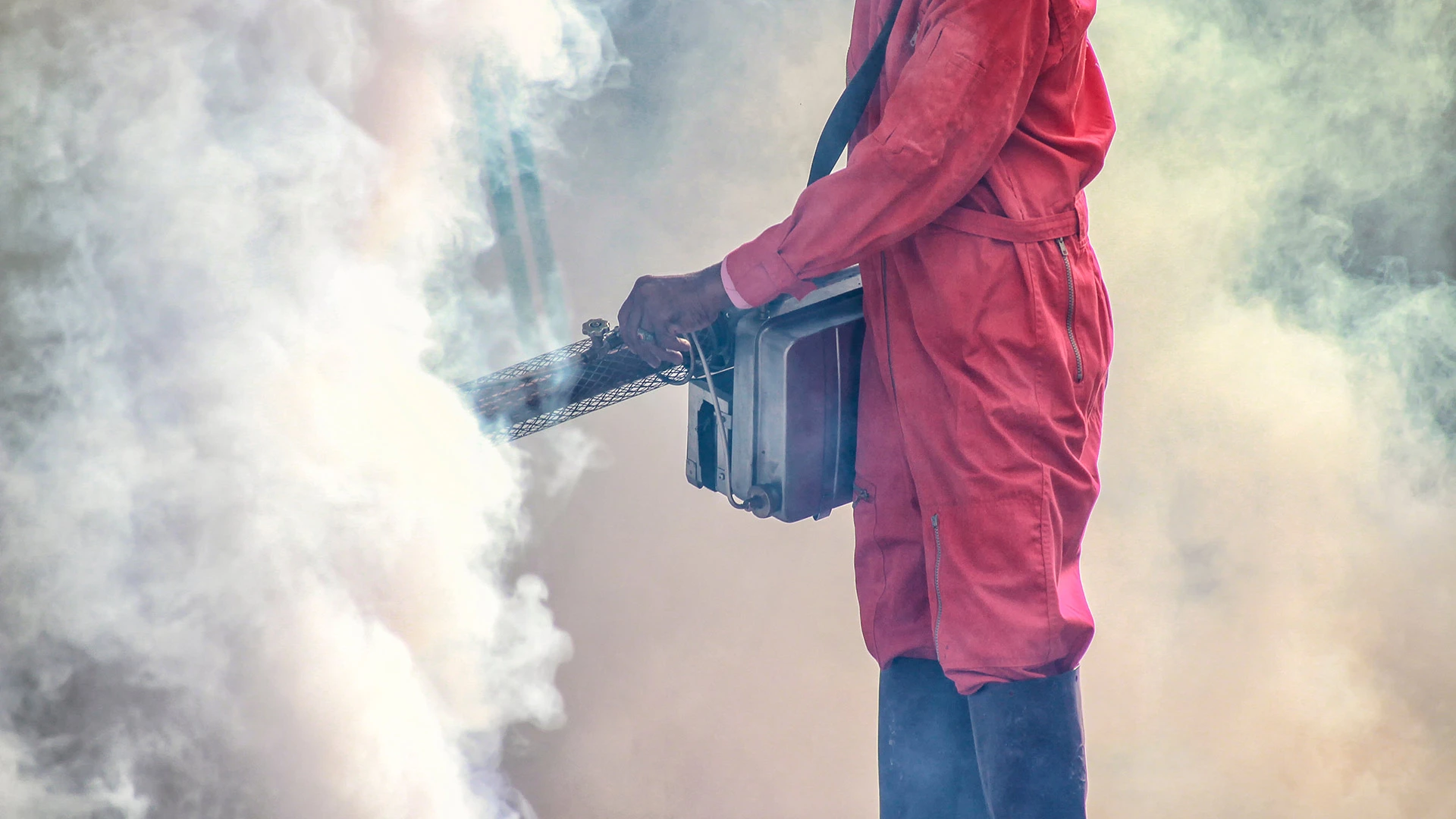 A professional is fogging a landscape bed to repel and kill any mosquitos.