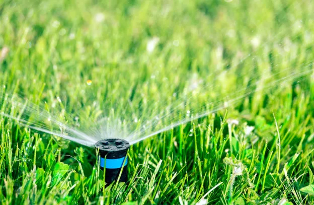 Lawn Care in Springfield