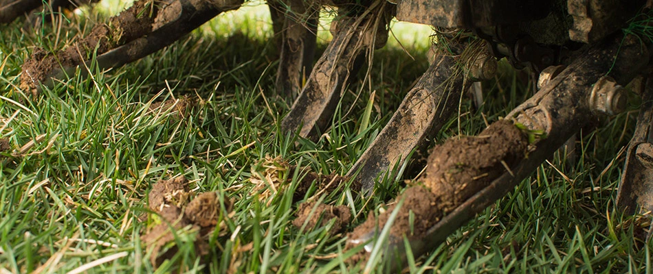 A lawn is being aerated near Wilmington, DE.