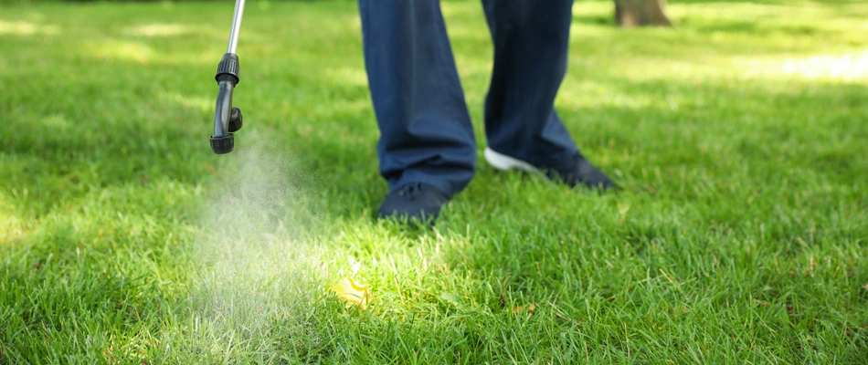 Lawn care professional applying pre-emergent weed control to a lawn in Yardley, PA.