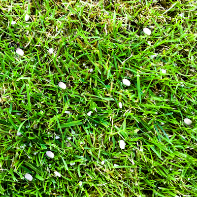 fertilizer on lawn