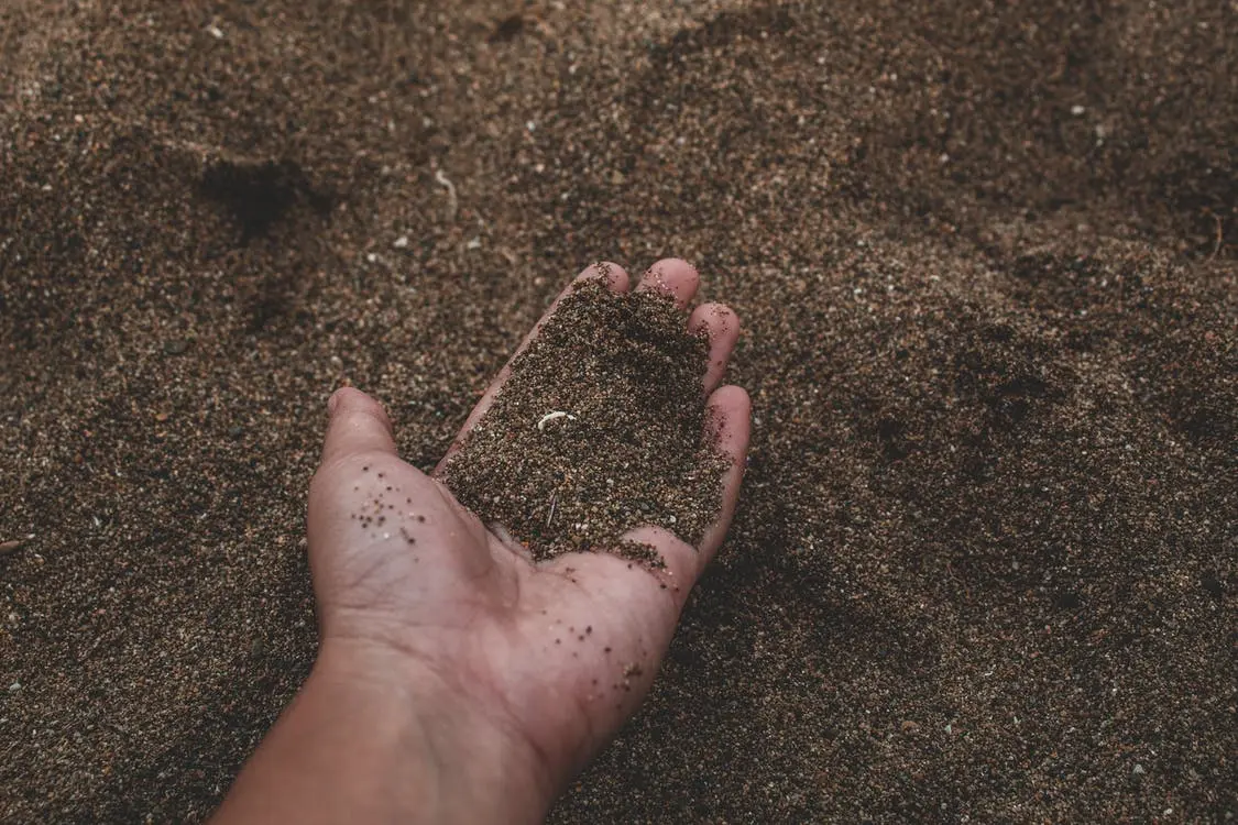 Why You Should Choose a Professional Test Over a Home Soil Test Kit